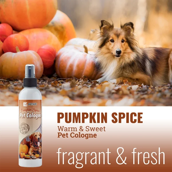 Pumpkin Spice Cologne - Image 3